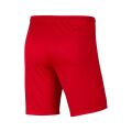 Nike Df Park III Short Nb K Şort BV6855-657