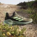 Adidas Ayakkabı Terrex Trailmak Er 2 IE5146