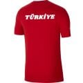 Nike Park20 Ss Tee Milli Takım Baskılı Tişört CZ0881-657