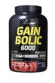 Olimp Gain Bolic 6000 3500 Gr