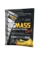 Bigjoy Sports Bigmass GH Factors Go 100 Gr X 50 Adet