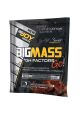 Bigjoy Sports Bigmass GH Factors Go 100 Gr X 50 Adet