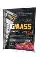 Bigjoy Sports Bigmass GH Factors Go 100 Gr X 50 Adet