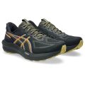 Asics Gt-1000 14 Gtx Erkek Koşu Ayakkabısı 1011C078-001