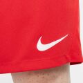 Nike Df Park III Short Nb K Şort BV6855-657